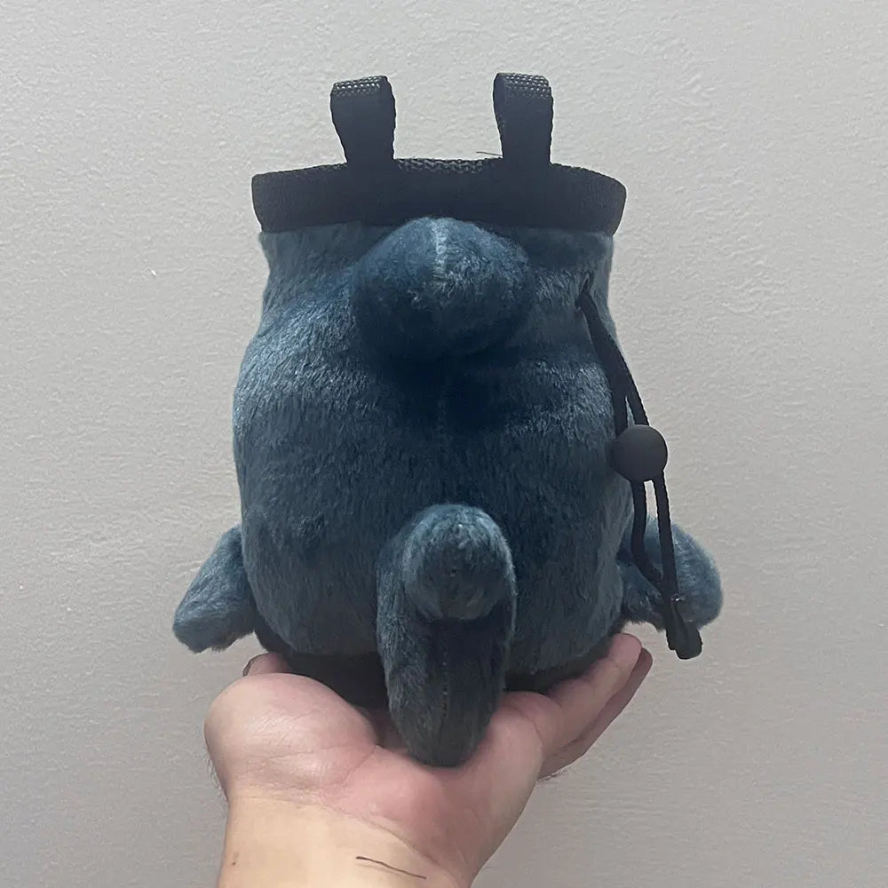 Cute Cat Chalk Bag